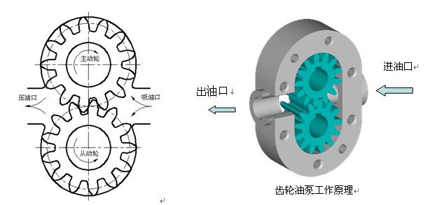 齒輪泵工作原理圖1